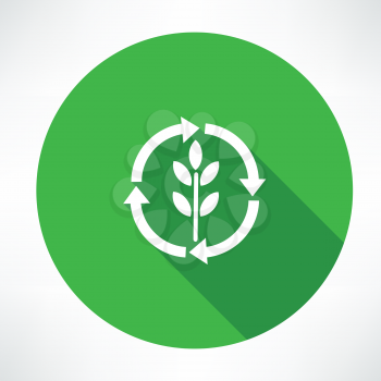 Eco green leaf logo