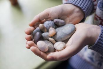 sea pebbles in the hands 