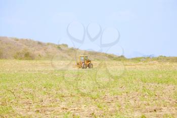 Tractor plows a field preparing for the rice grow up in Panama