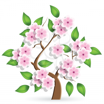 Royalty Free Clipart Image of a Tree With Cherry Blossoms
