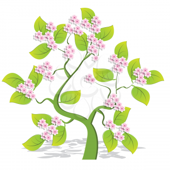 Royalty Free Clipart Image of a Flowering Tree