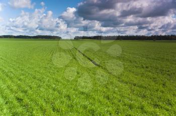Royalty Free Photo of an Open Field