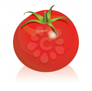 Royalty Free Clipart Image of a Tomato 