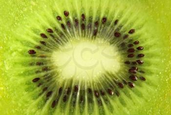 Kiwi slice close up