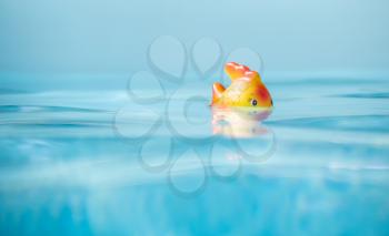 Cute toy Fish taking bath in swimming pool, shallow depth of field