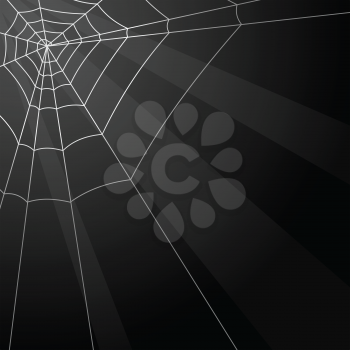 Royalty Free Clipart Image of a Cobweb Background