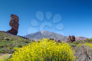 Teide volcano peak with yellow flowers and the Roque Cinchado in the foreground, Tenerife island, Spain.