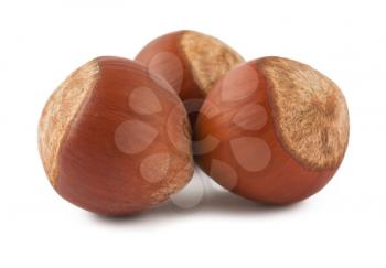 Royalty Free Photo of a Group of Hazelnuts