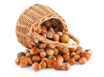 Royalty Free Photo of a Split Basket of Hazelnuts