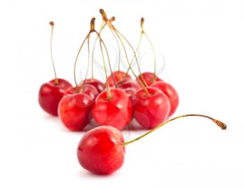Royalty Free Photo of a Bunch of Sweet Cherries 