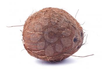 Royalty Free Photo of a Whole Ripe Coconut