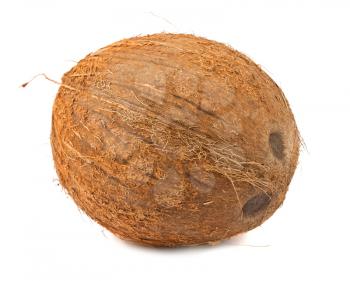 Royalty Free Photo of a Whole Coconut