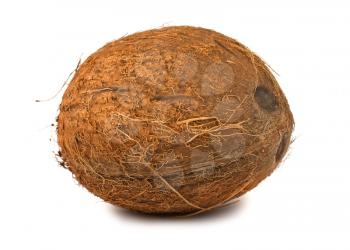 Royalty Free Photo of a Whole Coconut