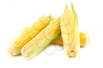 Royalty Free Photo of a Bunch of Corn on the Cobs