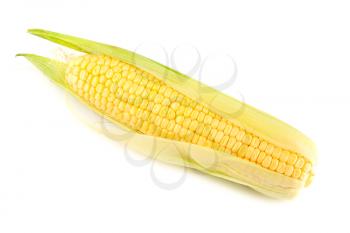 Royalty Free Photo of a Single Cob of Corn
