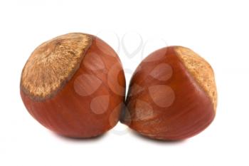 Royalty Free Photo of Two Hazelnuts