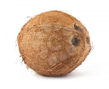 Royalty Free Photo of a Ripe Whole Coconut