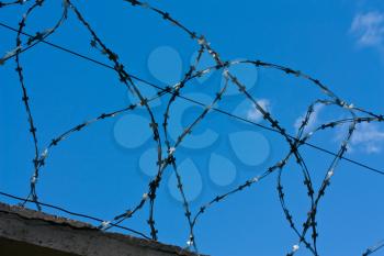 Royalty Free Photo of a Closeup of a Barbed Wire