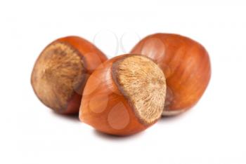 Three ripe hazelnuts isolated on white background