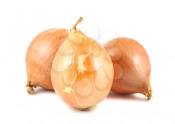 Three fresh golden onions isolated on white background
