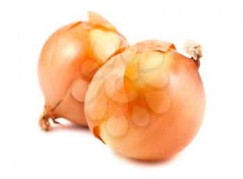 Pair of fresh golden onions isolated on white background