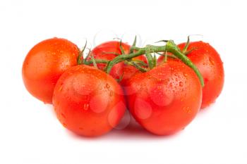 Royalty Free Photo of a Branch of Ripe Tomatoes
