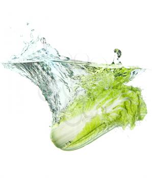 Royalty Free Photo of a Cabbage in Water