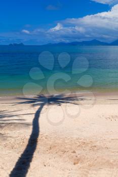 Royalty Free Photo of a Palm Tree Shadow on a Tropical Resort in Koh Samui, Thailand
