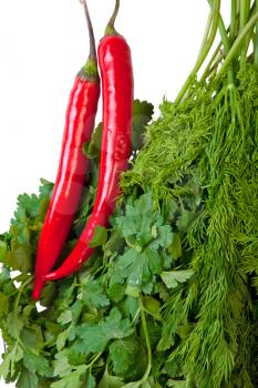 Royalty Free Photo of a Red Chili Pepper and Herbs