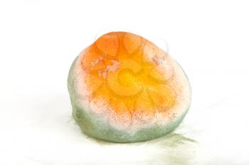 Rotten grapefruit isolated on white background
