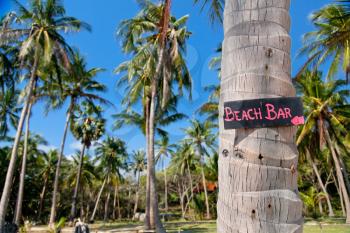 Beach bar sign on palm tree trunk in Thailand
