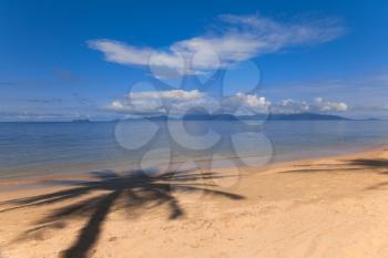 Palm tree shadow on the beach sand on tropical resort
