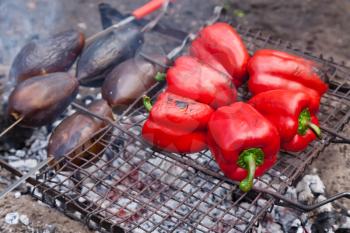 Red grilled pepper and eggplants on bbq fireplace
