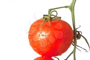 Ripe tomato on green branch isolated on white background
