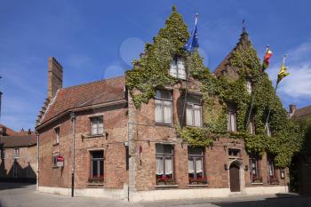 House with vines in Brugge, Belgium
