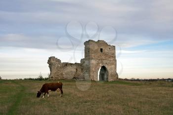 Ruined cossack gate and grazing cow