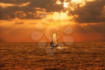 Windsurfer sailing in the sea at sunset

