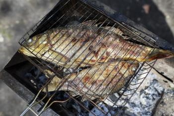 Two grilled carp on bbq fireplace, roasted
