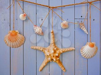 Seashells hanging on the rope, vintage styling and instagram toning
