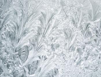 Royalty Free Photo of Frost on a Window