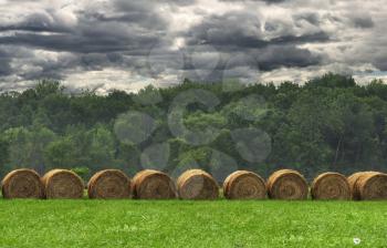 Royalty Free Photo of Bales of Hay in a Field