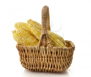 Royalty Free Photo of Ears of Corn in a Basket