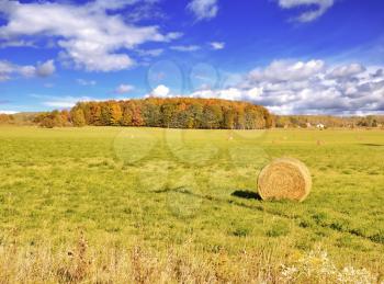 Royalty Free Photo of an Autumn Field