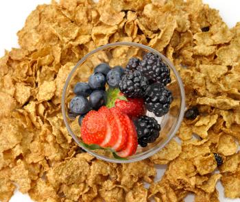 bran and raisin cereal with fruits and berries 