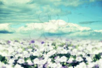 floral  abstract background with blue sky