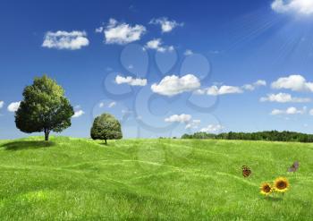 green field with trees and flowers against a blue sky