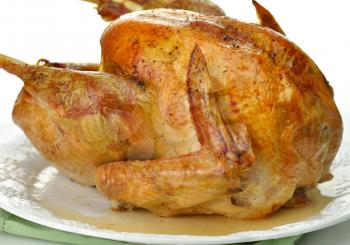 roasted turkey on white background