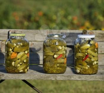 Jars Of Pickled Cucumbers On A Wooden Banch In The Garden