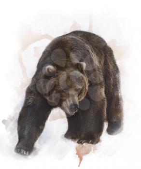 Watercolor Digital Painting Of  Grizzly Bear