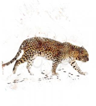 Watercolor Digital Painting Of  Walking Leopard